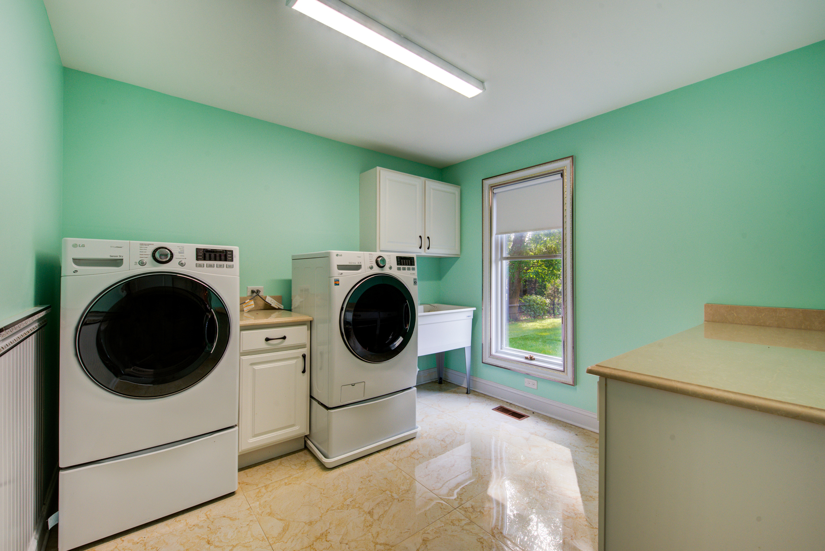 46 Hamilton Lane Oak Brook IL 60523