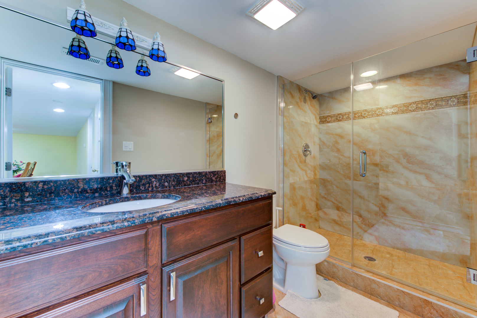 46 Hamilton Lane Oak Brook IL 60523