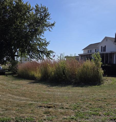 17580 1200 East Street Wyanet IL 61379