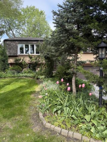 248 Spruce Avenue Bensenville IL 60106