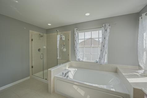 26615 Silverleaf Drive Plainfield IL 60585