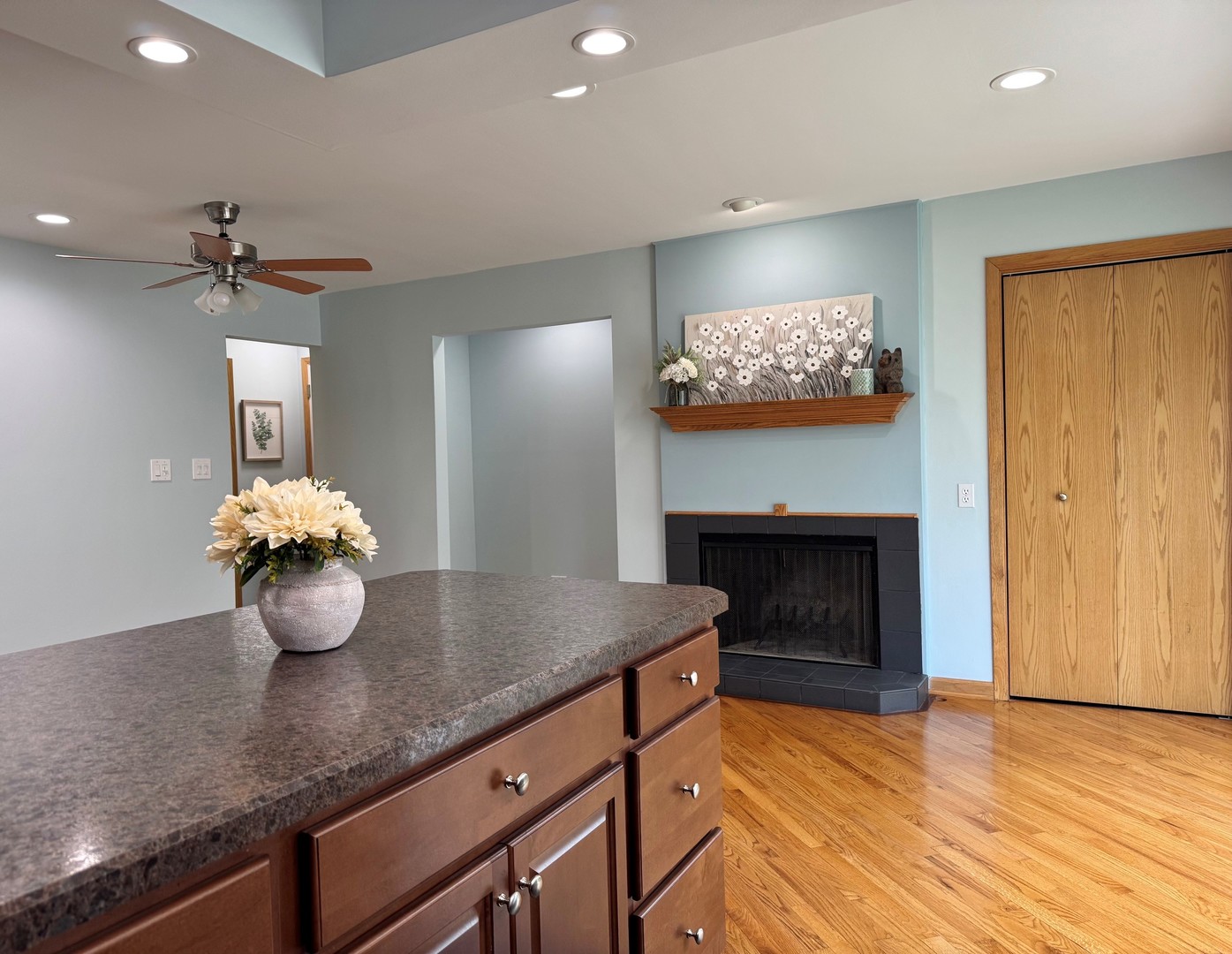 626 Bryce Trail Roselle IL 60172