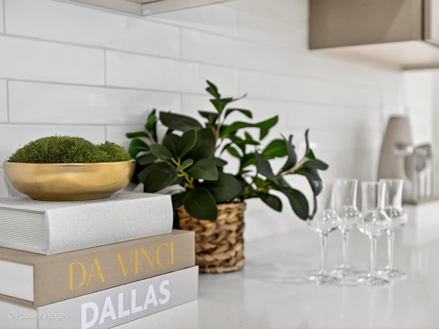 11300 Sequoya Lane Indian Head Park IL 60525