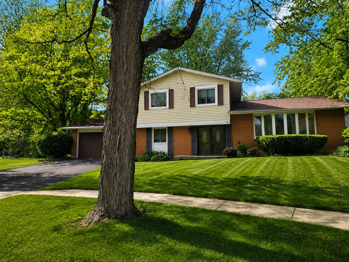 406 Assembly Drive Bolingbrook IL 60440
