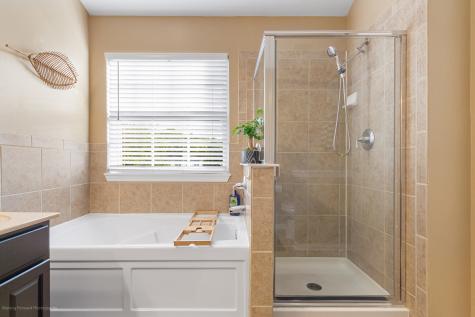 13332 Morning Mist Place Plainfield IL 60585