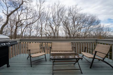 4 Cinnabar Lane Galena IL 61036