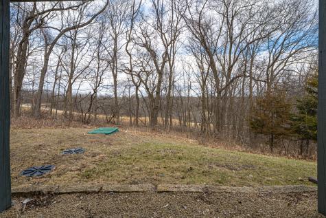 4 Cinnabar Lane Galena IL 61036