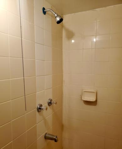 5028 West Parker Avenue Chicago IL 60639