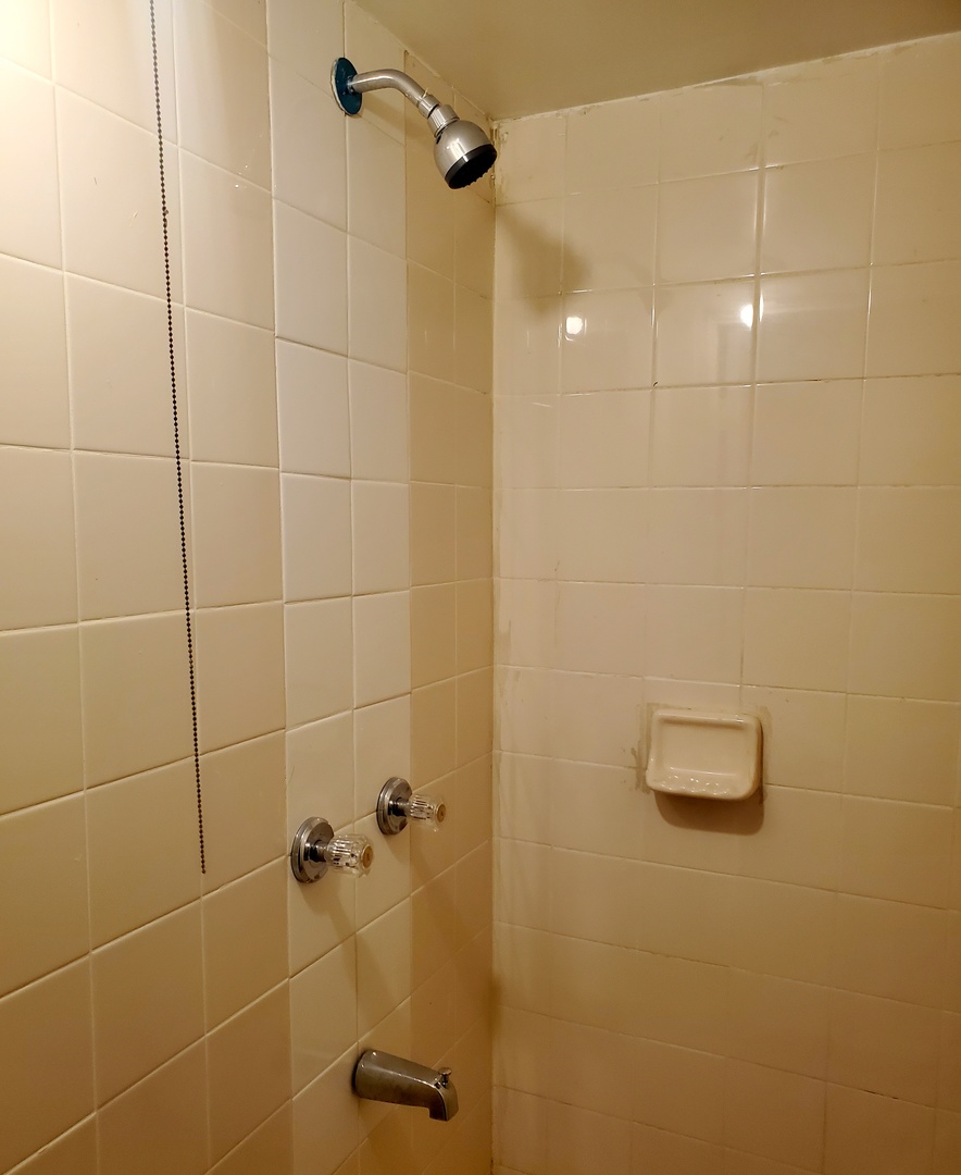 5028 West Parker Avenue Chicago IL 60639