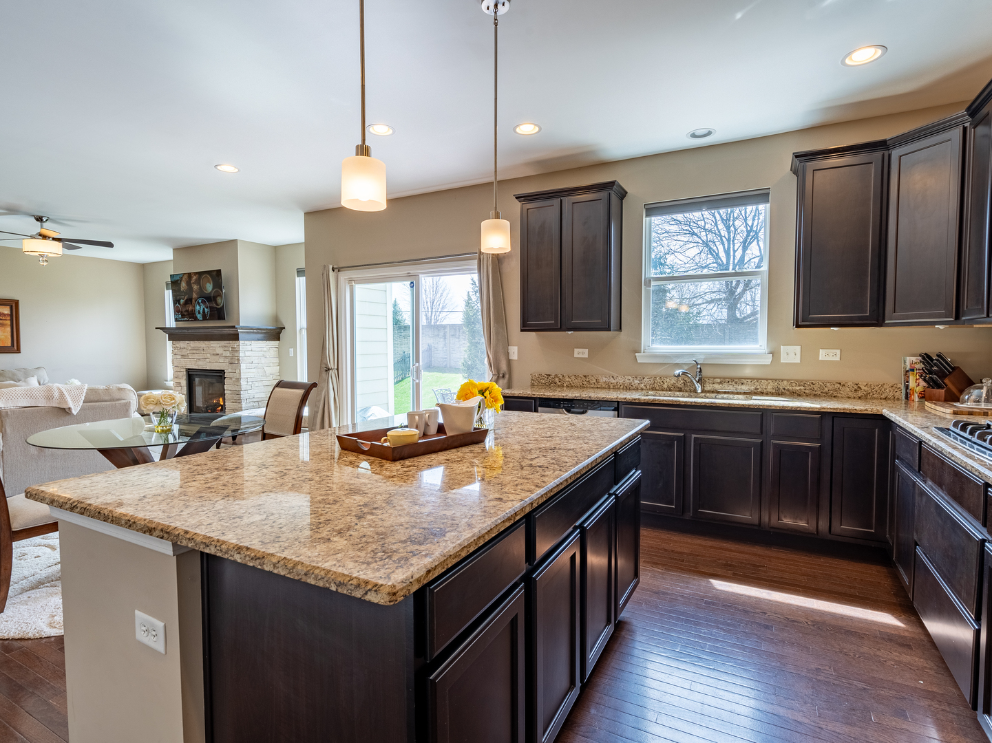 3740 Ryder Court Naperville IL 60564