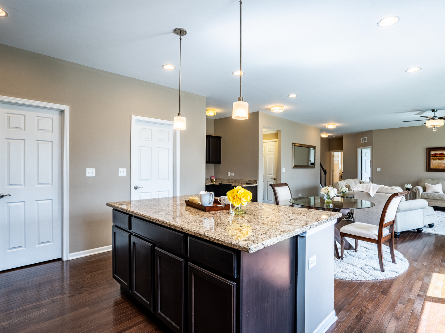 3740 Ryder Court Naperville IL 60564