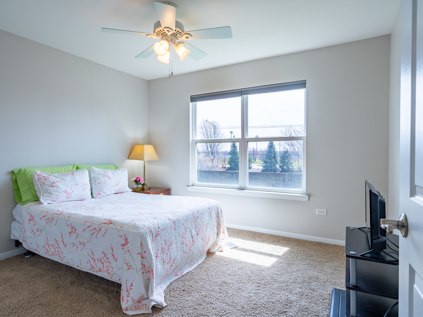 3740 Ryder Court Naperville IL 60564