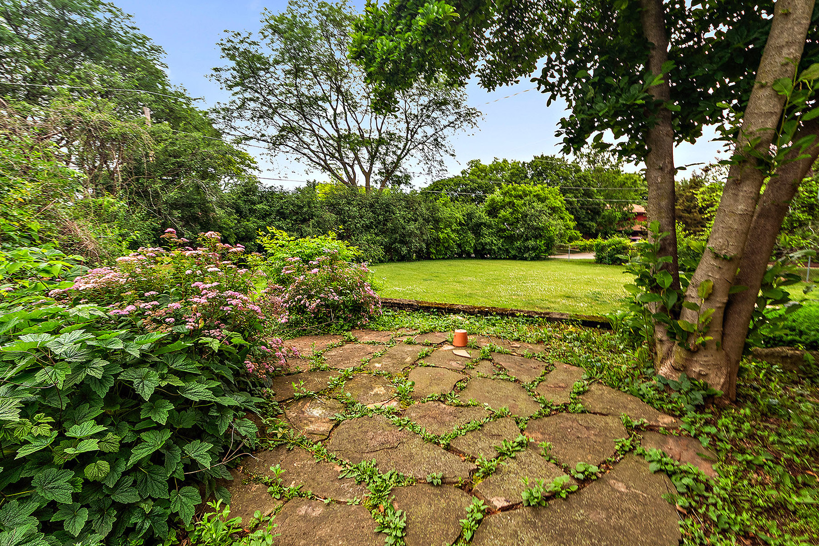 500 Bunning Drive Downers Grove IL 60516