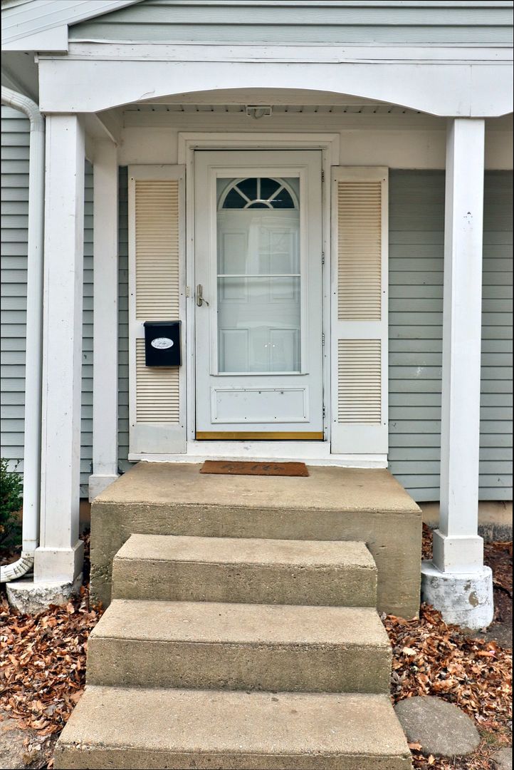 819 Mansfield Court Schaumburg IL 60194