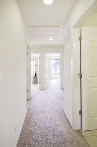 2517 South Mary Street Chicago IL 60608