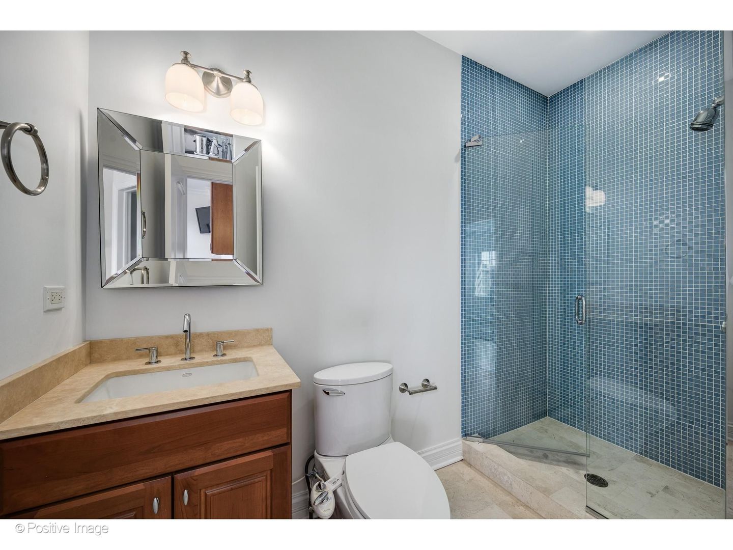 2714 North Greenview Avenue Chicago IL 60614