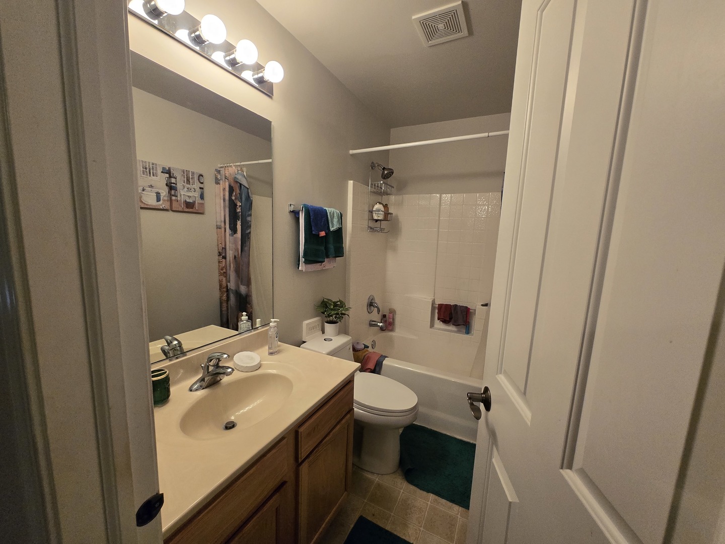 494 Vaughn Circle Aurora IL 60502