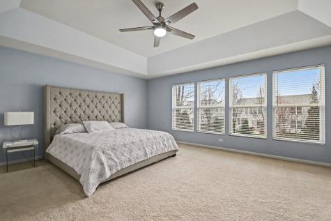 371 Sweet Gum Street Bolingbrook IL 60490