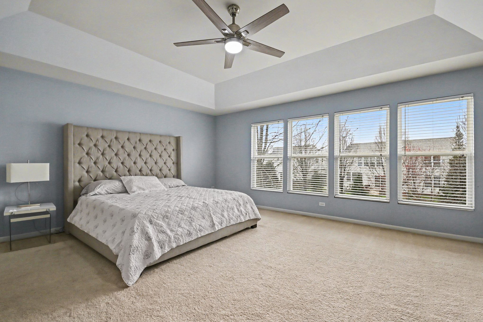 371 Sweet Gum Street Bolingbrook IL 60490