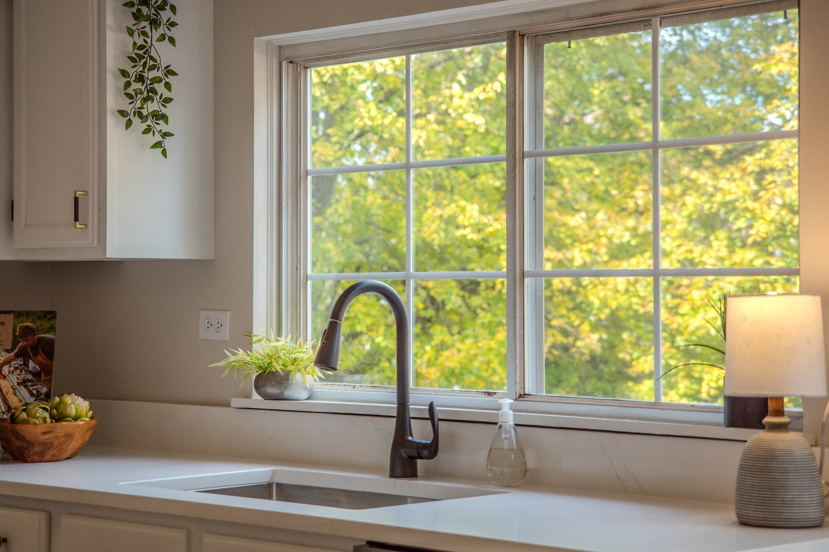 1199 North Pin Oak Trail Aurora IL 60506