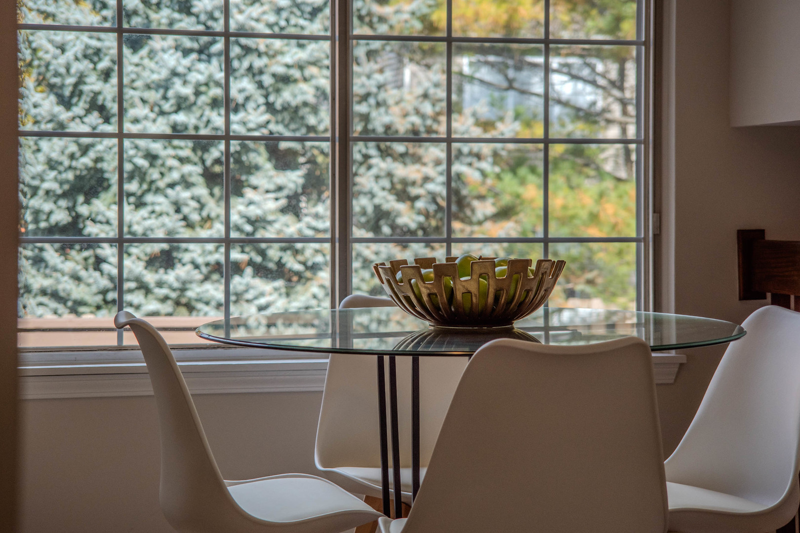 1199 North Pin Oak Trail Aurora IL 60506