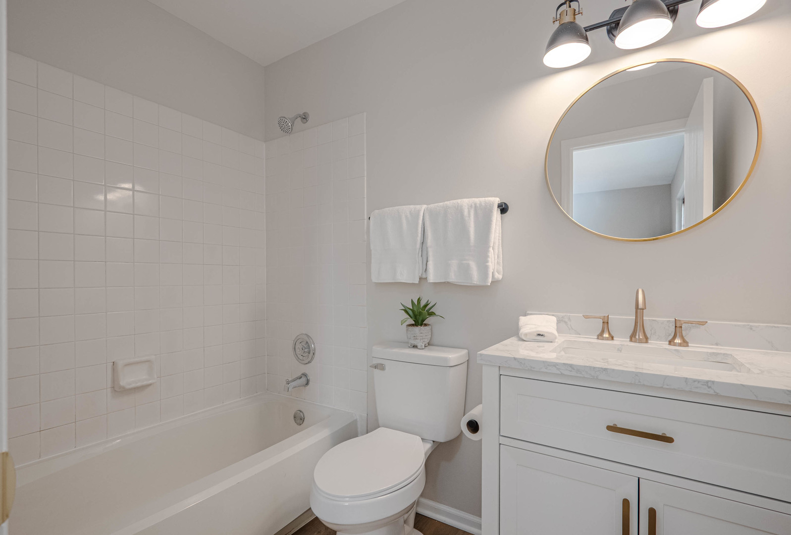 1199 North Pin Oak Trail Aurora IL 60506