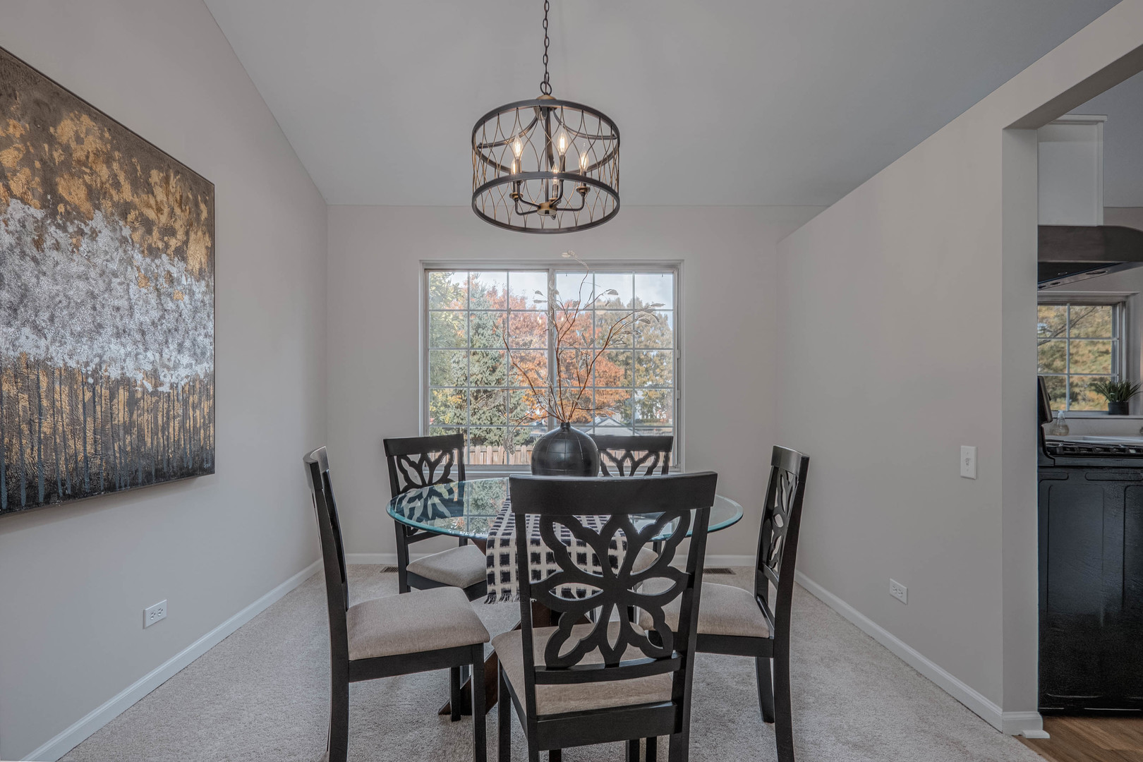 1199 North Pin Oak Trail Aurora IL 60506