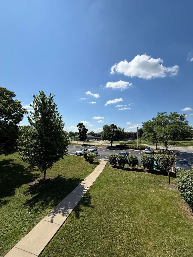 161 West Elk Trail Carol Stream IL 60188