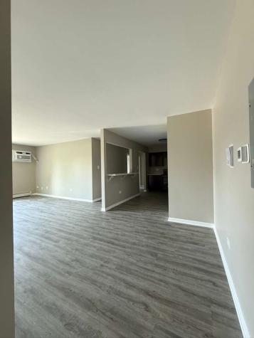 161 West Elk Trail Carol Stream IL 60188
