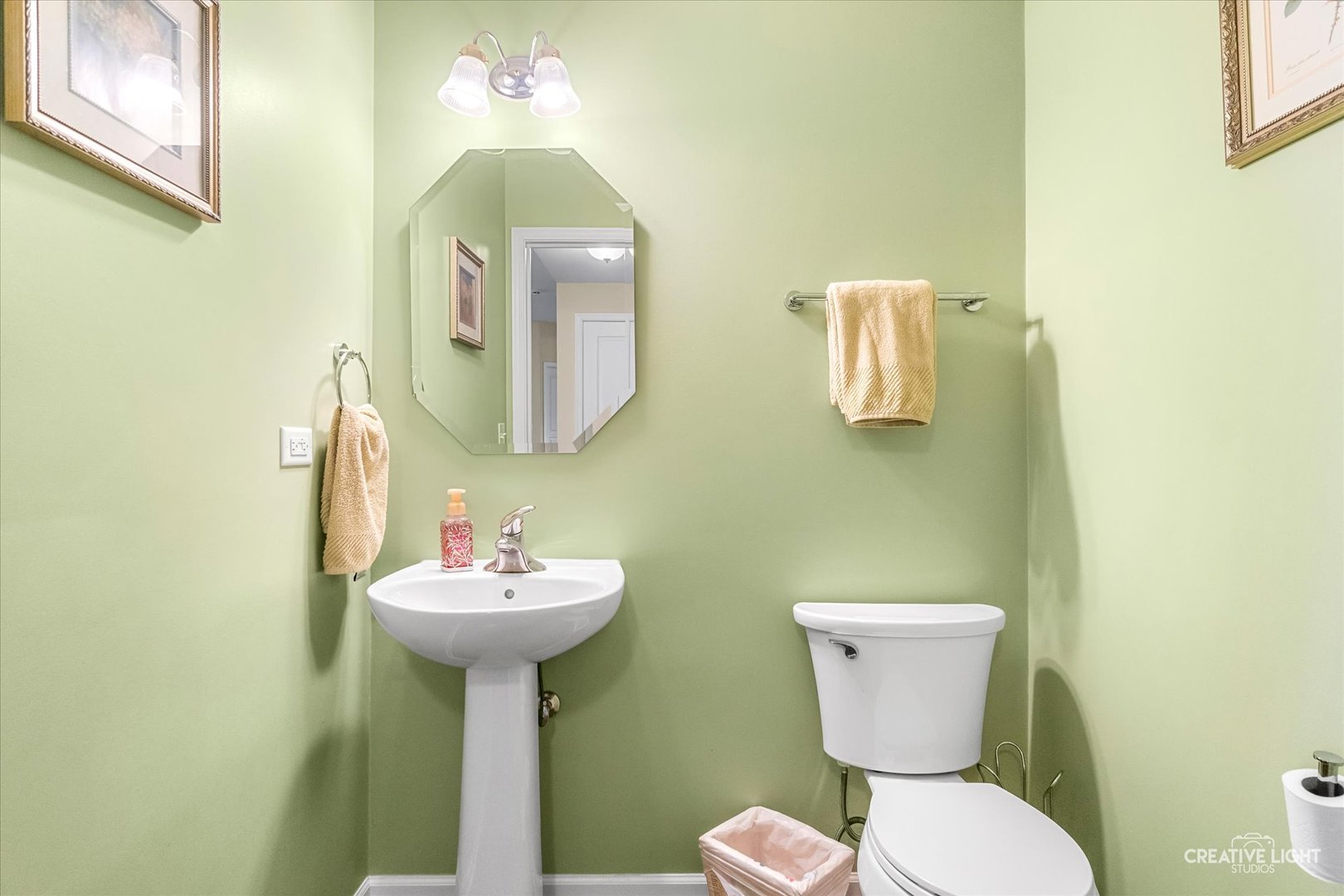 293 Dogwood Street Bolingbrook IL 60490