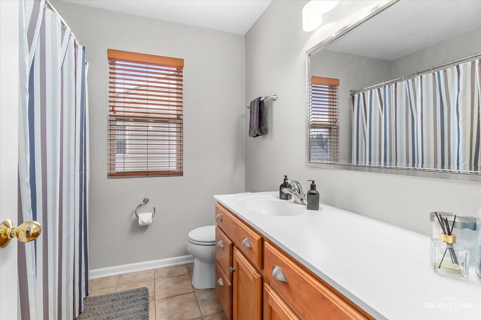 293 Dogwood Street Bolingbrook IL 60490