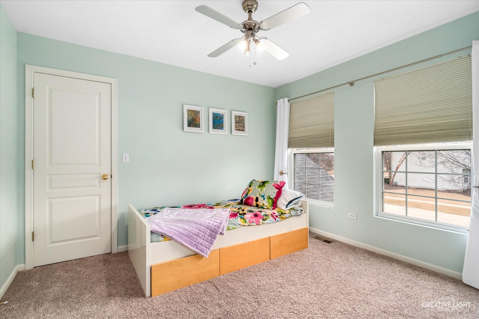 293 Dogwood Street Bolingbrook IL 60490