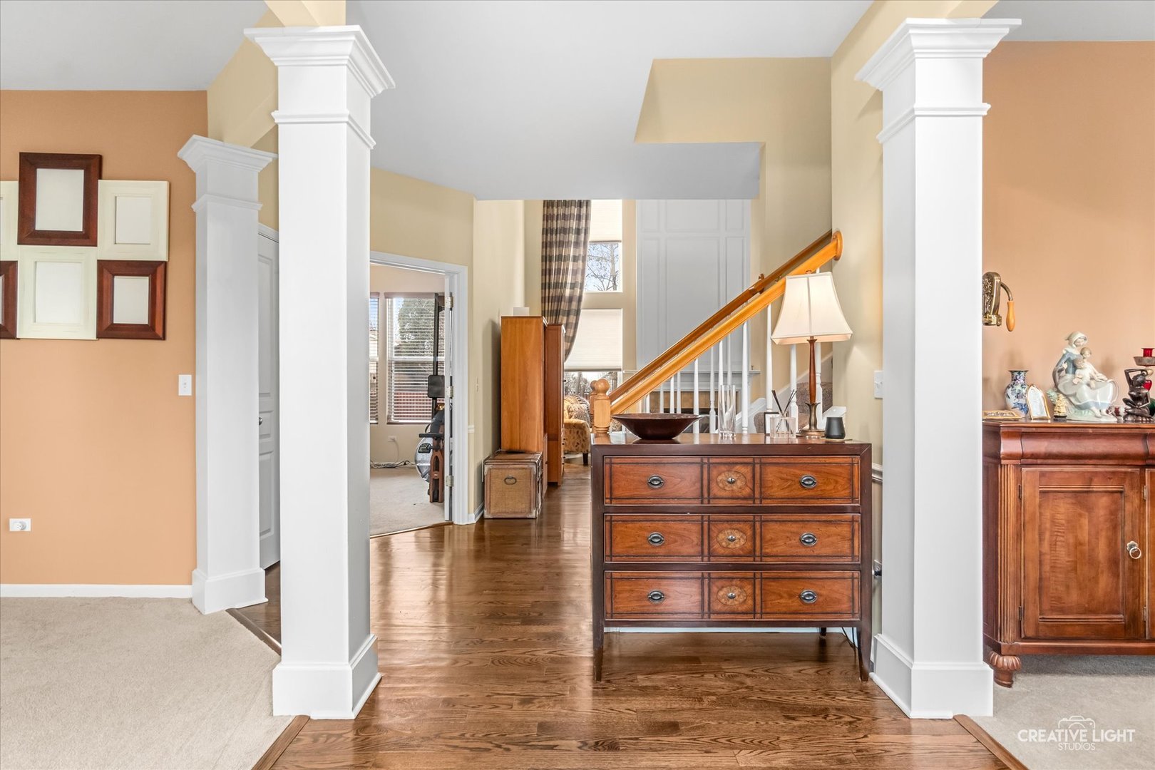 293 Dogwood Street Bolingbrook IL 60490