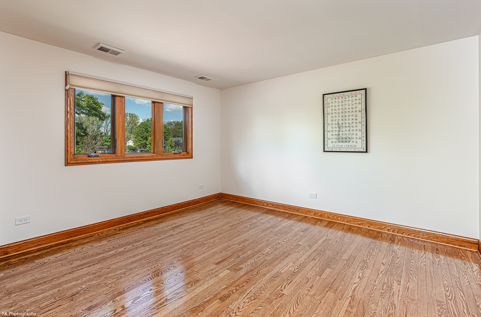 6645 Wedgewood Lane Willowbrook IL 60527