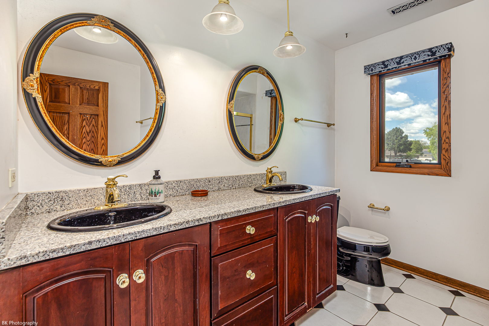6645 Wedgewood Lane Willowbrook IL 60527