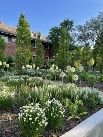 420 North Euclid Avenue Oak Park IL 60302