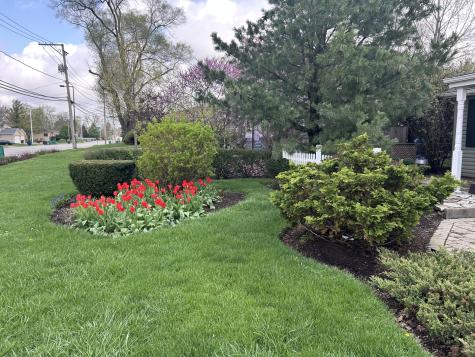 113 South Westmore Meyers Road Lombard IL 60148