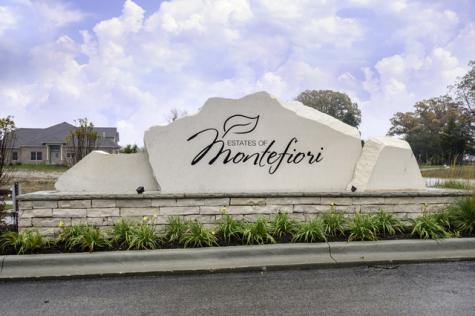 11158 Tuscany Lane Lemont IL 60439