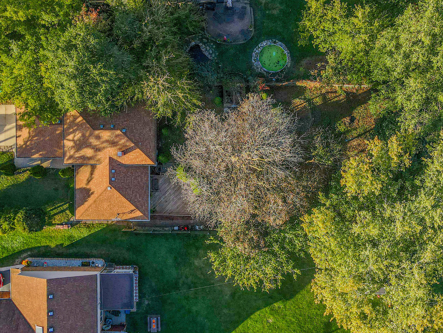 921 North Grace Street Lombard IL 60148