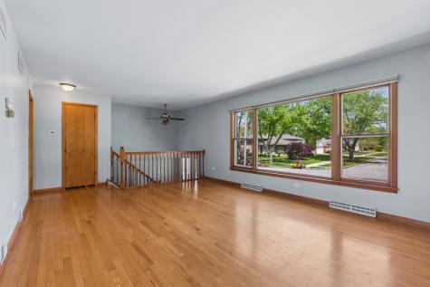 1259 Heather Road Homewood IL 60430