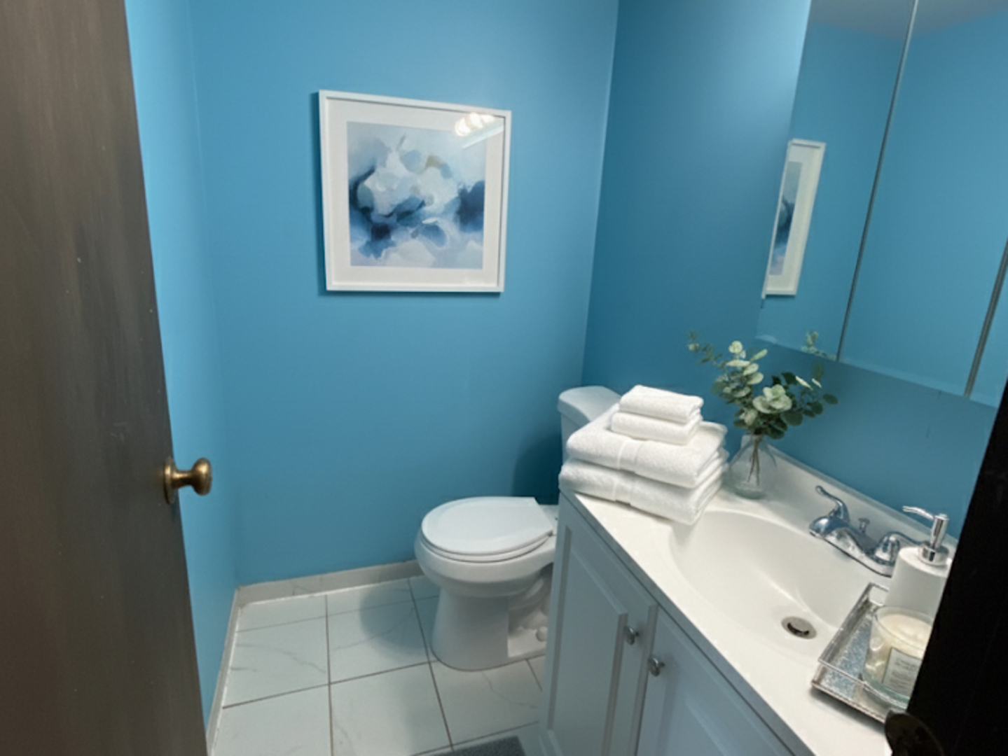 1513 Elder Drive Aurora IL 60506