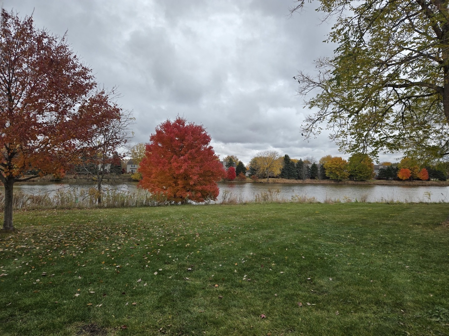 1513 Elder Drive Aurora IL 60506