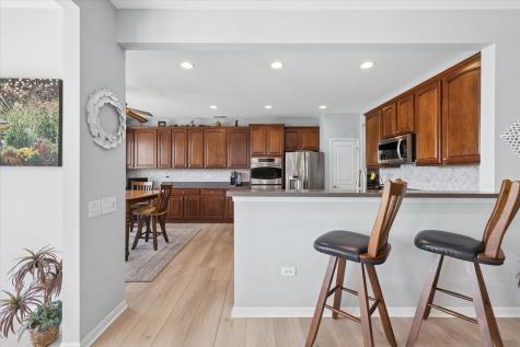 1315 Illinois Court Shorewood IL 60404