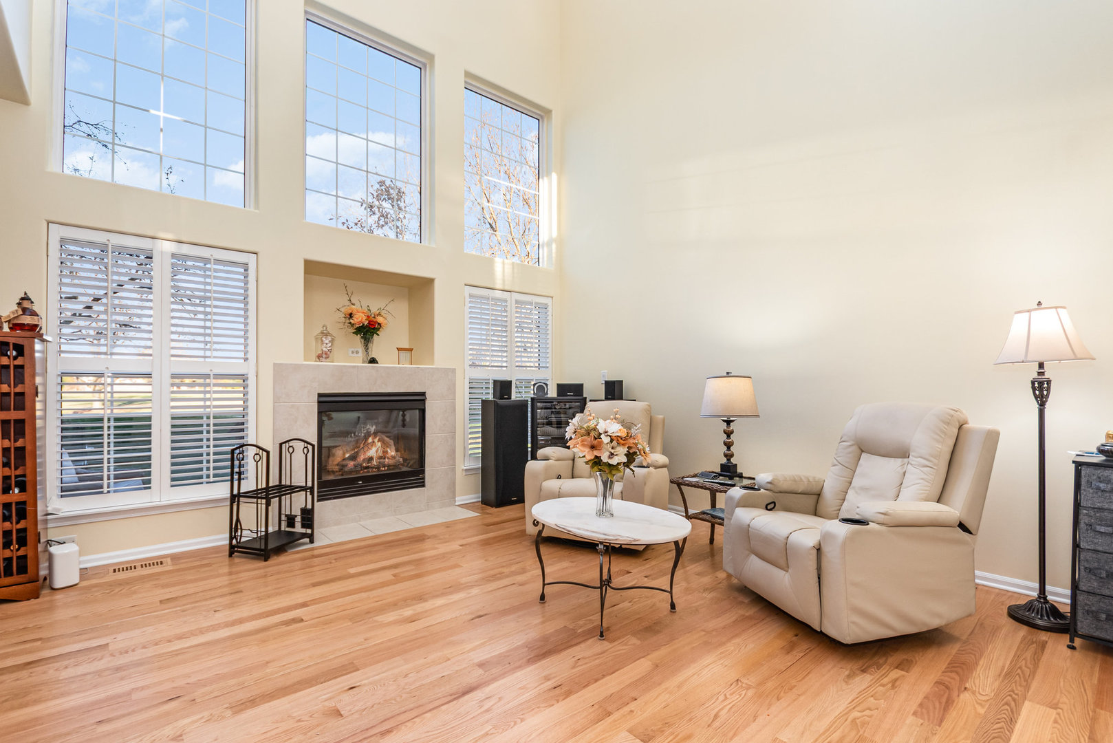 8 Lily Court Bolingbrook IL 60440