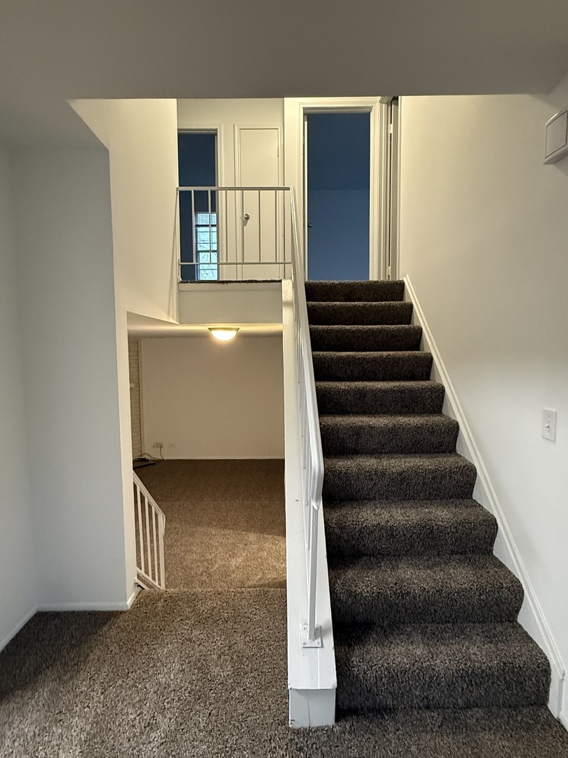 252 Yellow Pine Drive Bolingbrook IL 60440