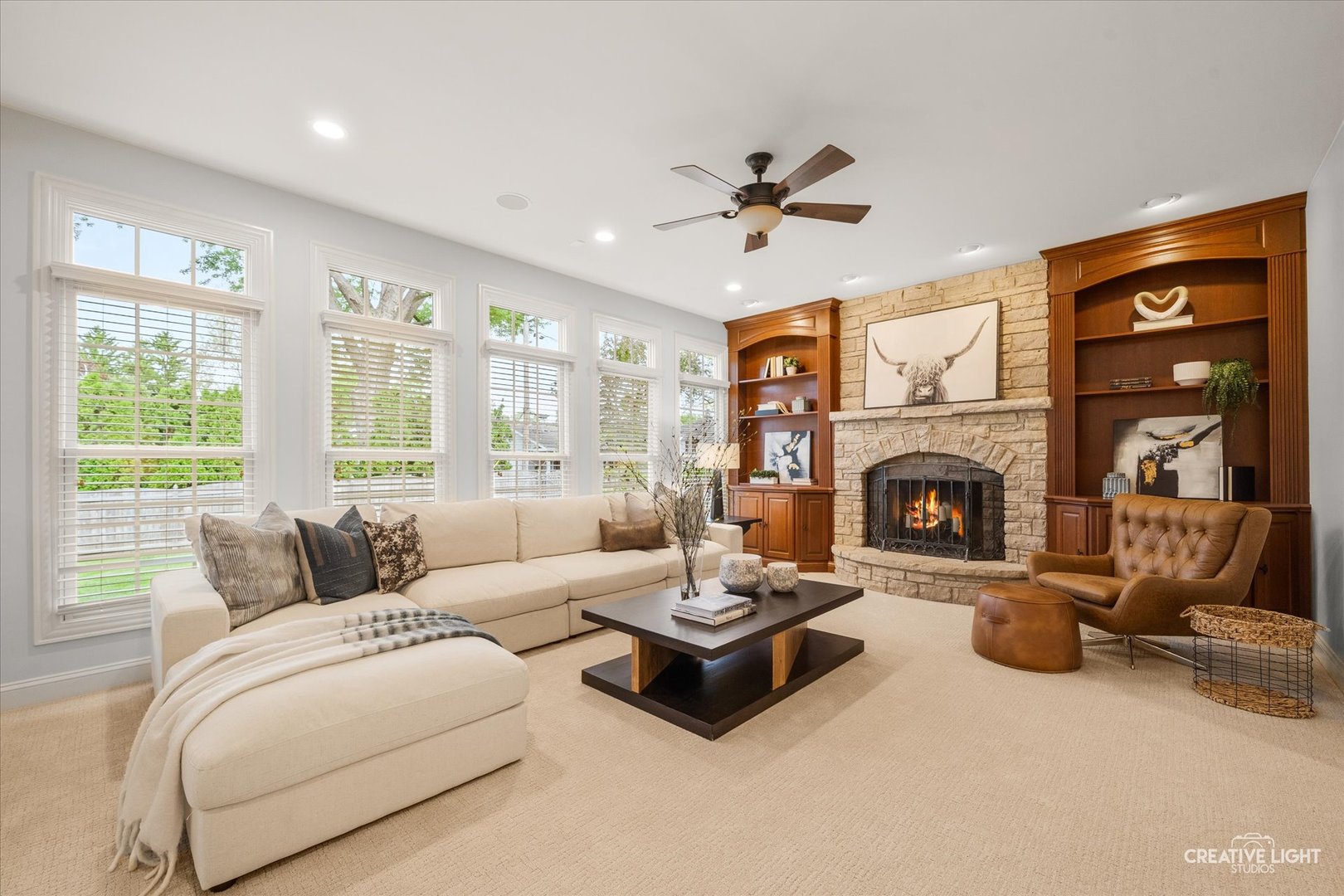 445 Buckeye Drive Naperville IL 60540