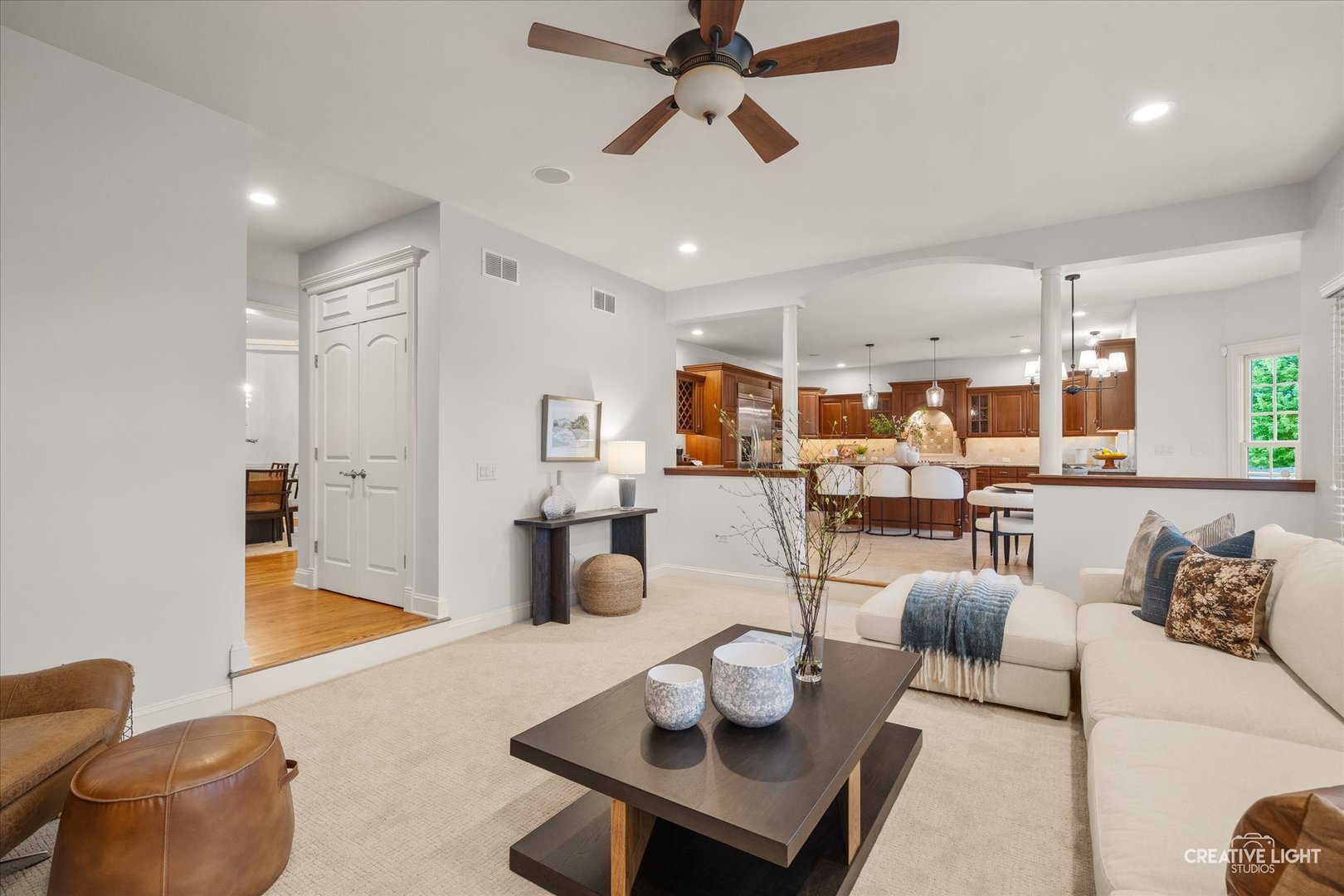 445 Buckeye Drive Naperville IL 60540