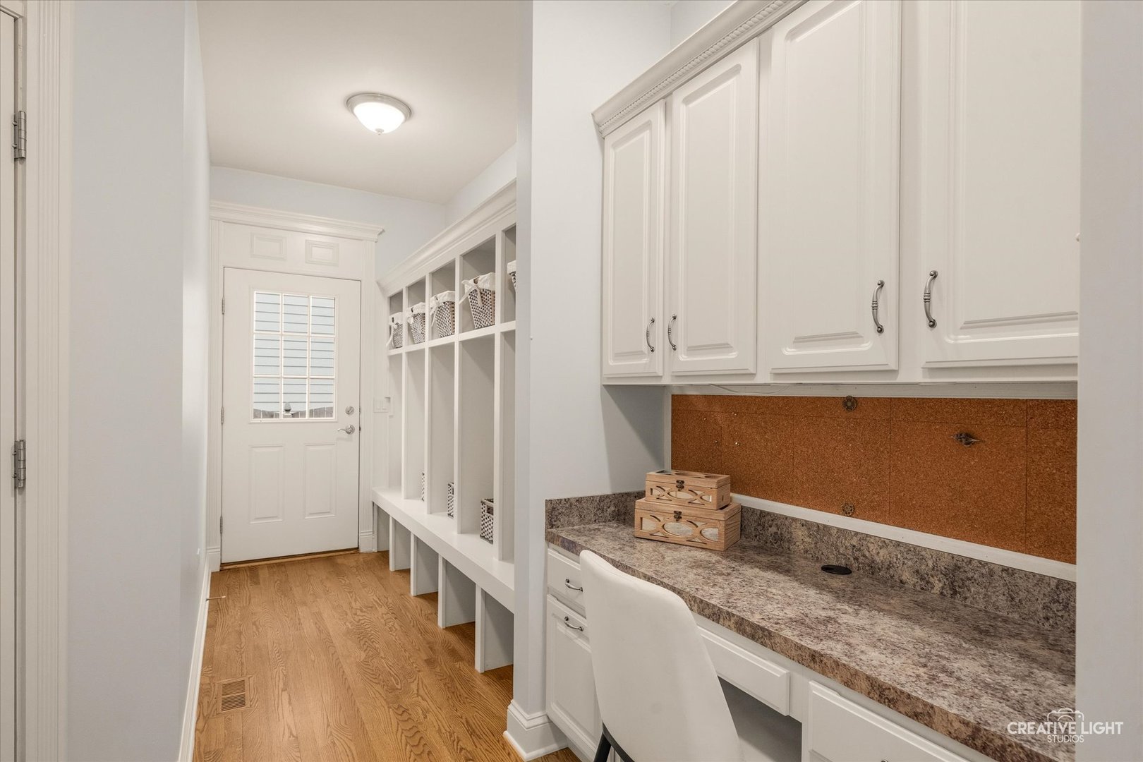 445 Buckeye Drive Naperville IL 60540