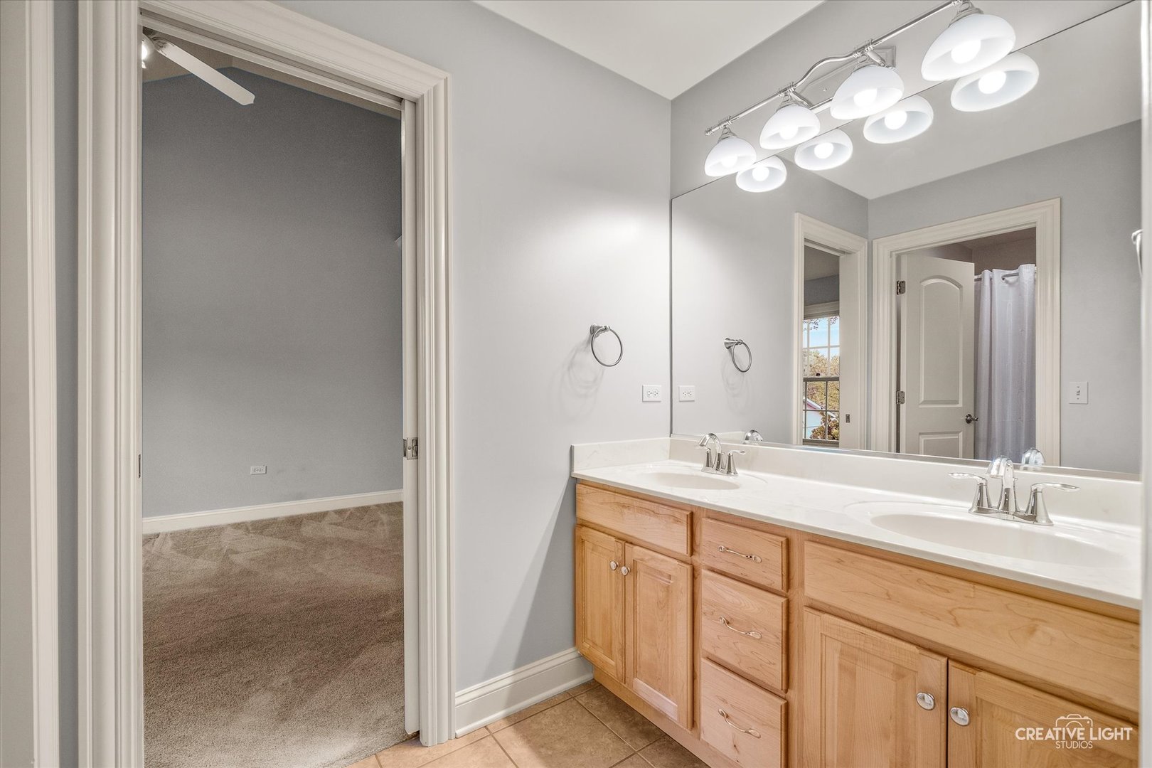 445 Buckeye Drive Naperville IL 60540