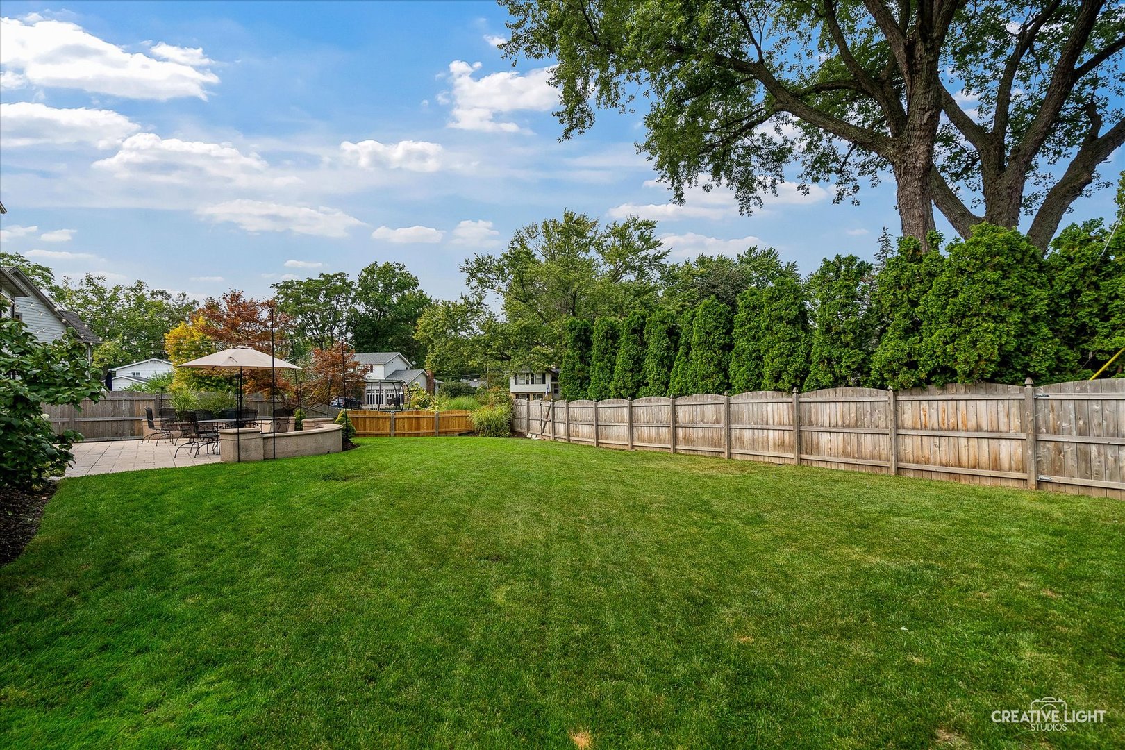 445 Buckeye Drive Naperville IL 60540